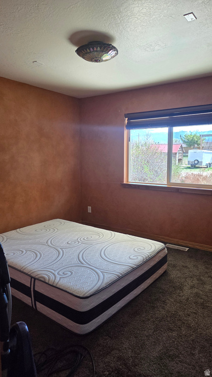 430 E 100 N Mt Pleasant, UT 84647