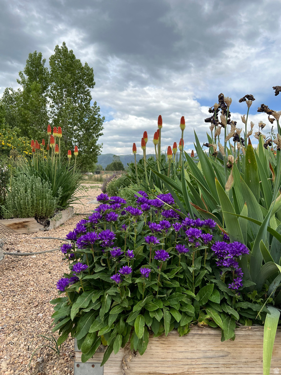 430 E 100 N Mt Pleasant, UT 84647