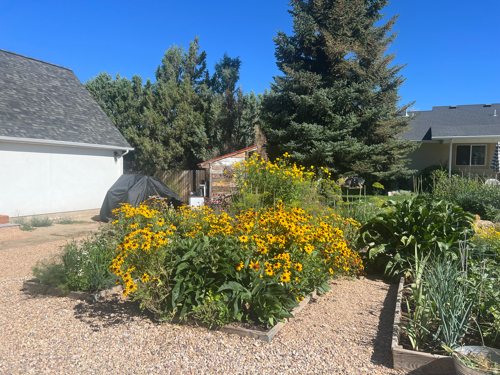 430 E 100 N Mt Pleasant, UT 84647