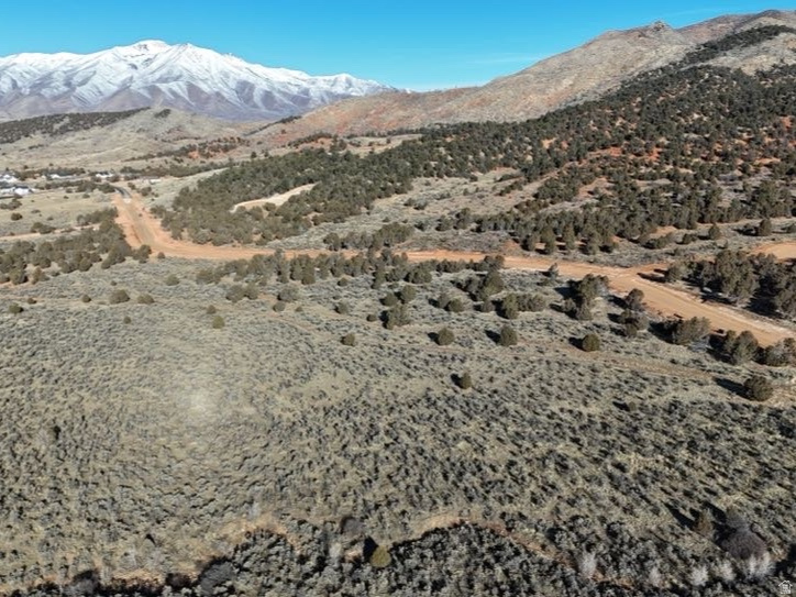 5100  COUGAR RUN Birdseye, UT 84629