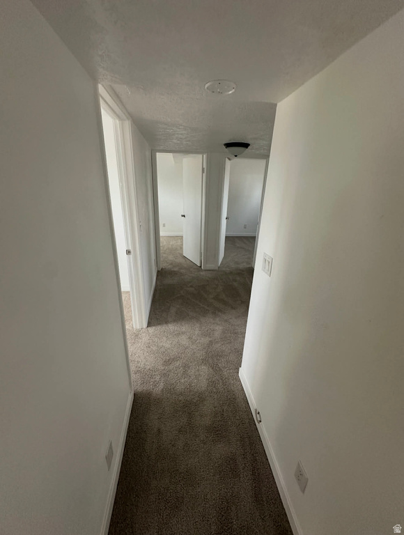 356 CARMA AVE Roosevelt, UT 84066