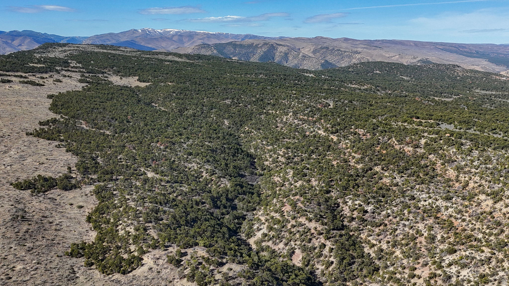 1 W ELK MEADOWS Fruitland, UT 84027