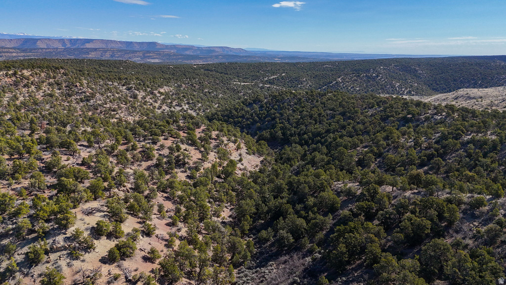 1 W ELK MEADOWS Fruitland, UT 84027