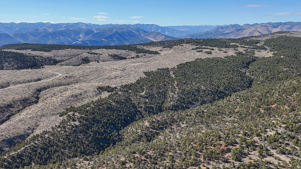 1 W ELK MEADOWS Fruitland, UT 84027