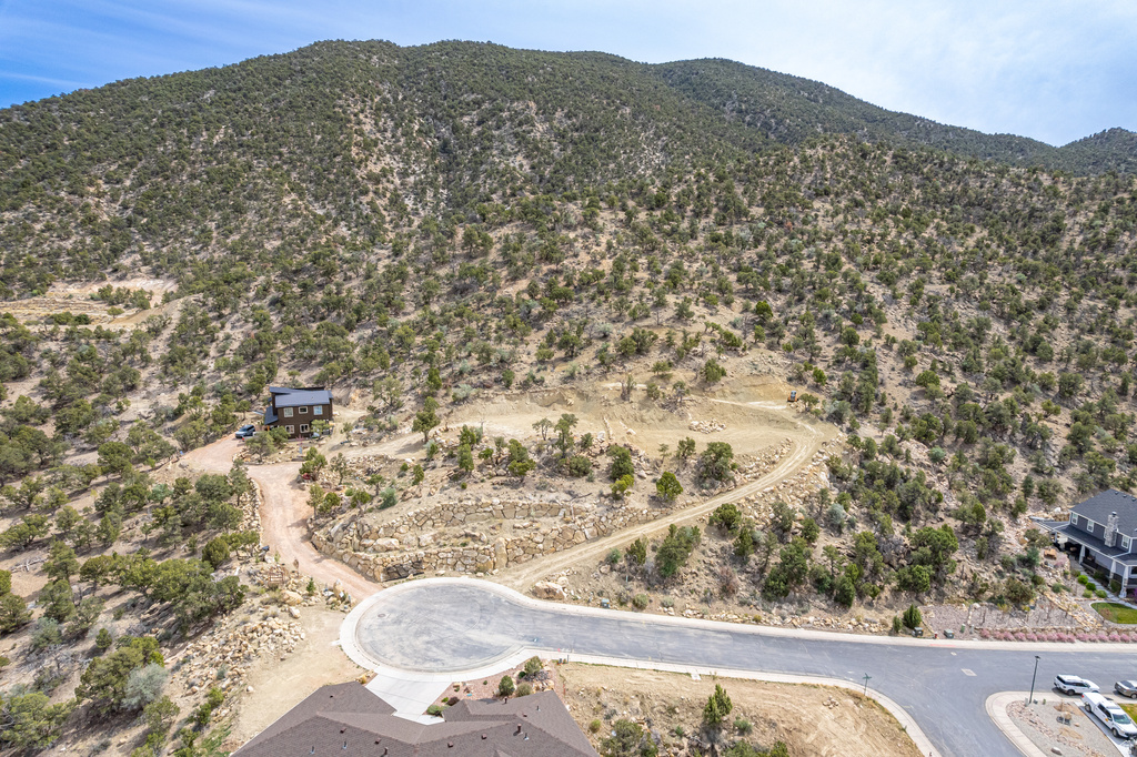 1960 N MAHOGANY CIR Cedar City, UT 84721