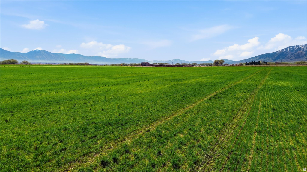 6000 W 1400 N Petersboro, UT 84325