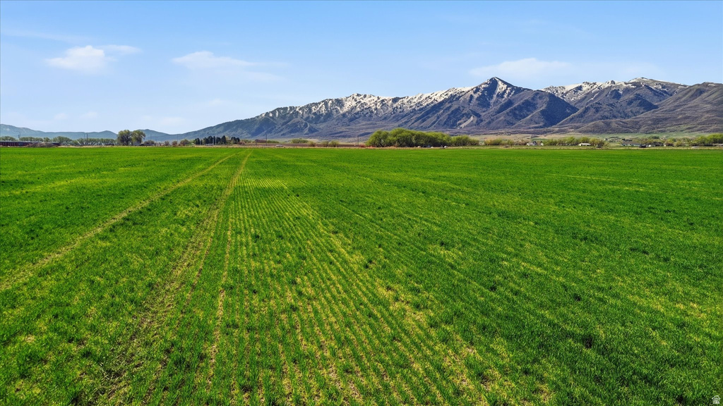 6000 W 1400 N Petersboro, UT 84325