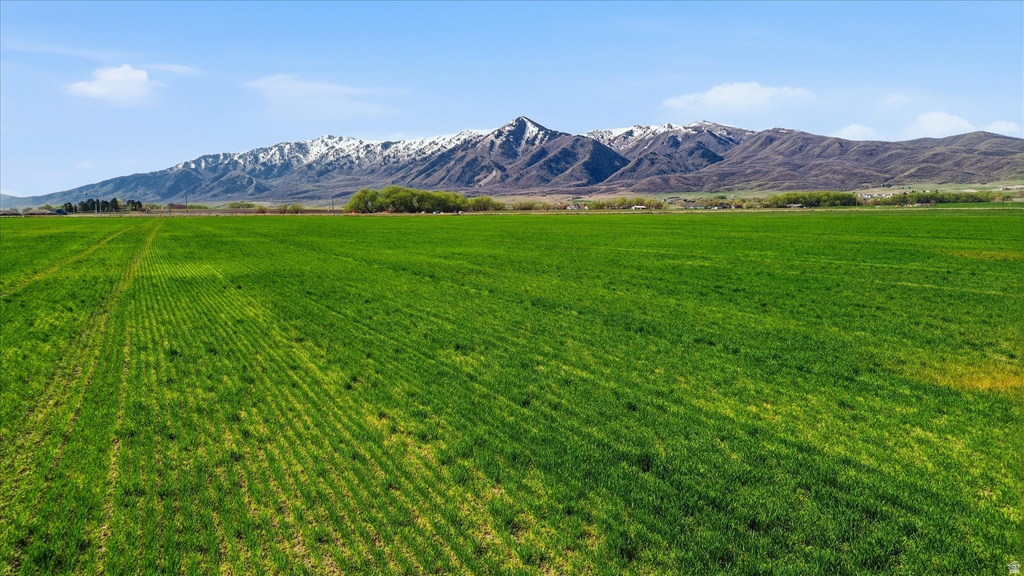 6000 W 1400 N Petersboro, UT 84325