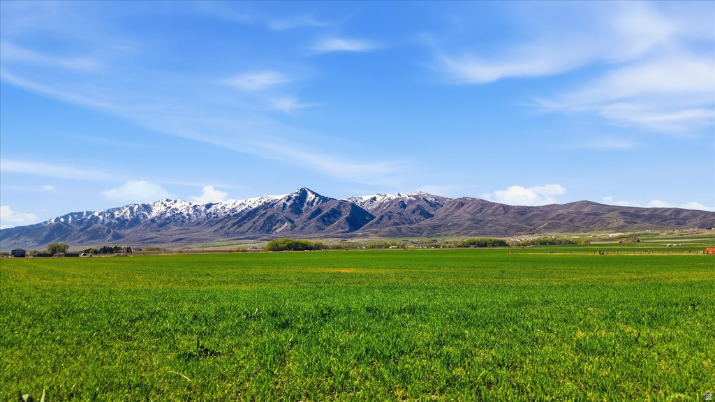 6000 W 1400 N Petersboro, UT 84325