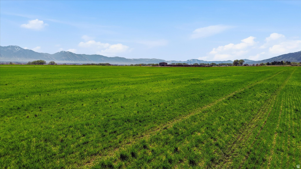 6000 W 1400 N Petersboro, UT 84325