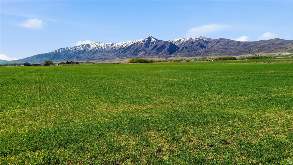 6000 W 1400 N Petersboro, UT 84325