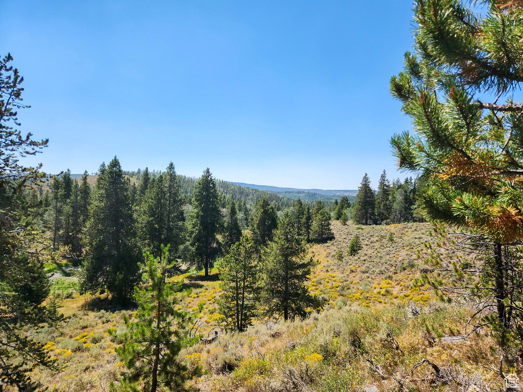 5559  FOREST DR Kamas, UT 84036