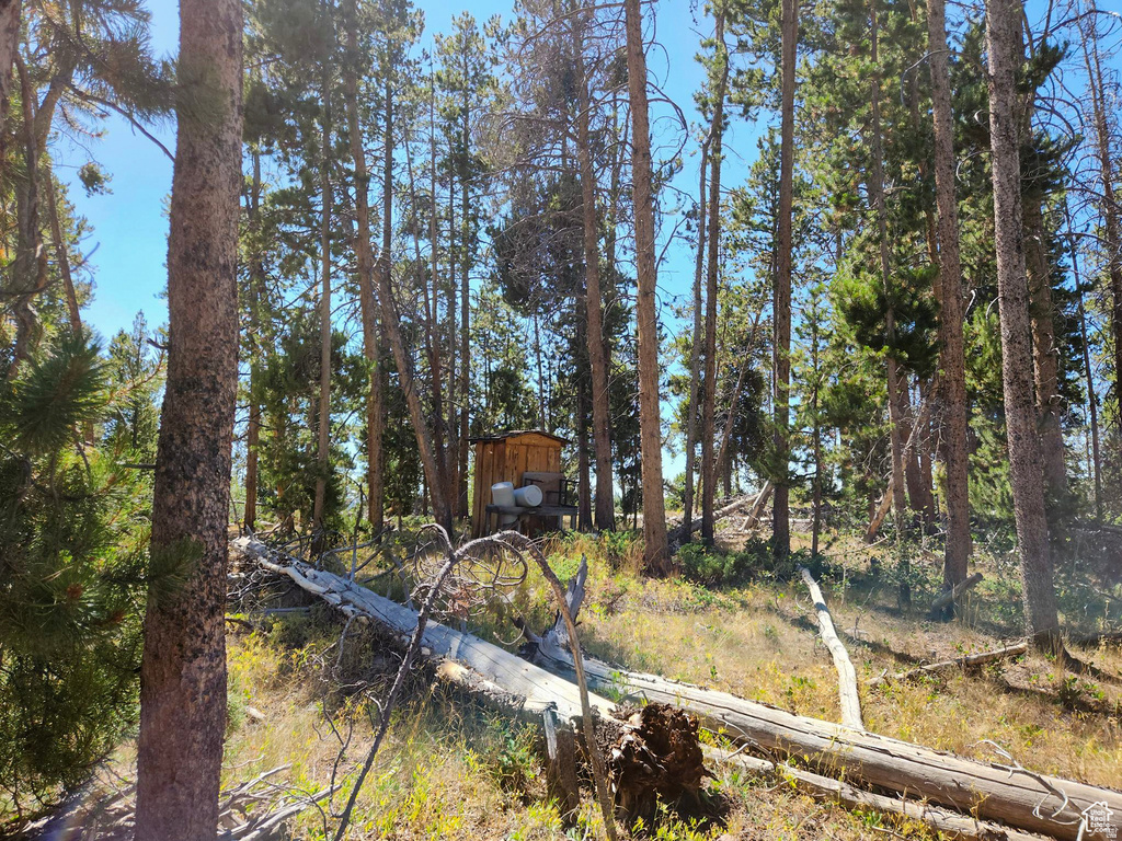 5559  FOREST DR Kamas, UT 84036