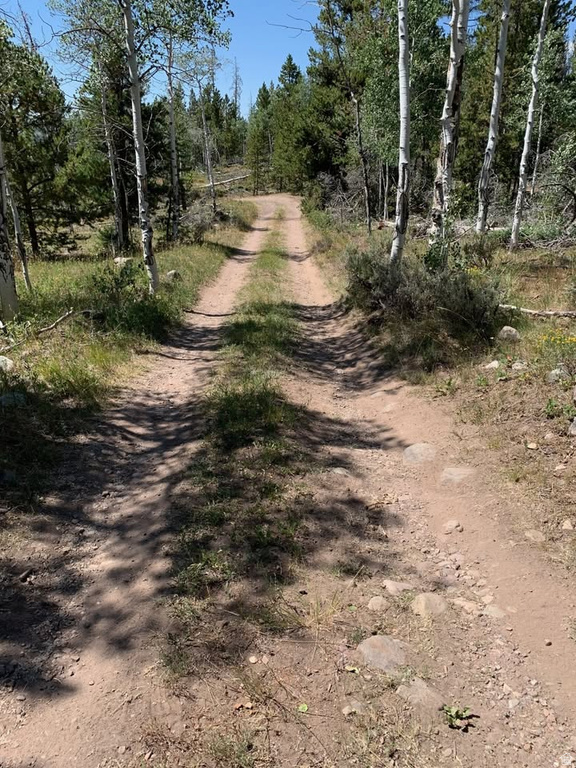 5559  FOREST DR Kamas, UT 84036