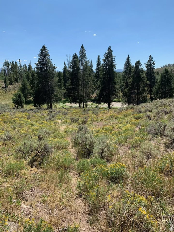 5559  FOREST DR Kamas, UT 84036