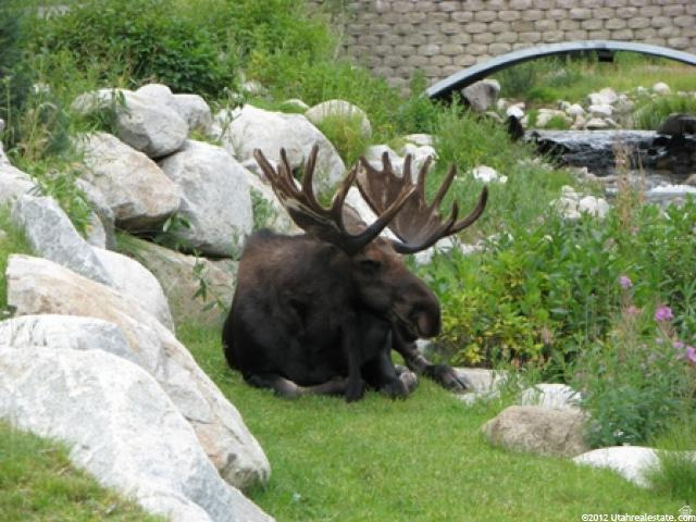 12090 BIG COTTONWOOD RD #303 Solitude, UT 84121