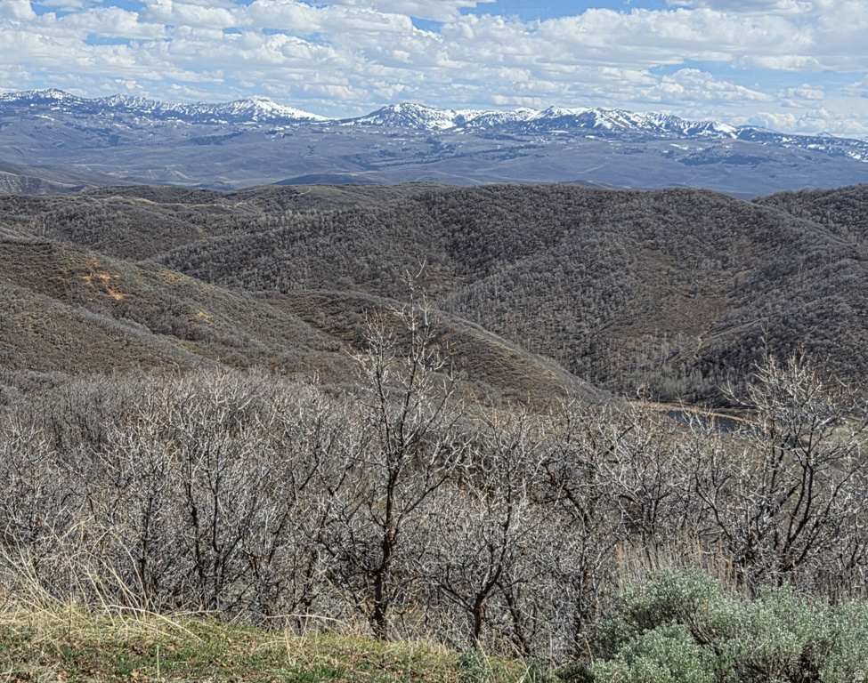 12602 SKYLINE RD #130 Echo, UT 84024