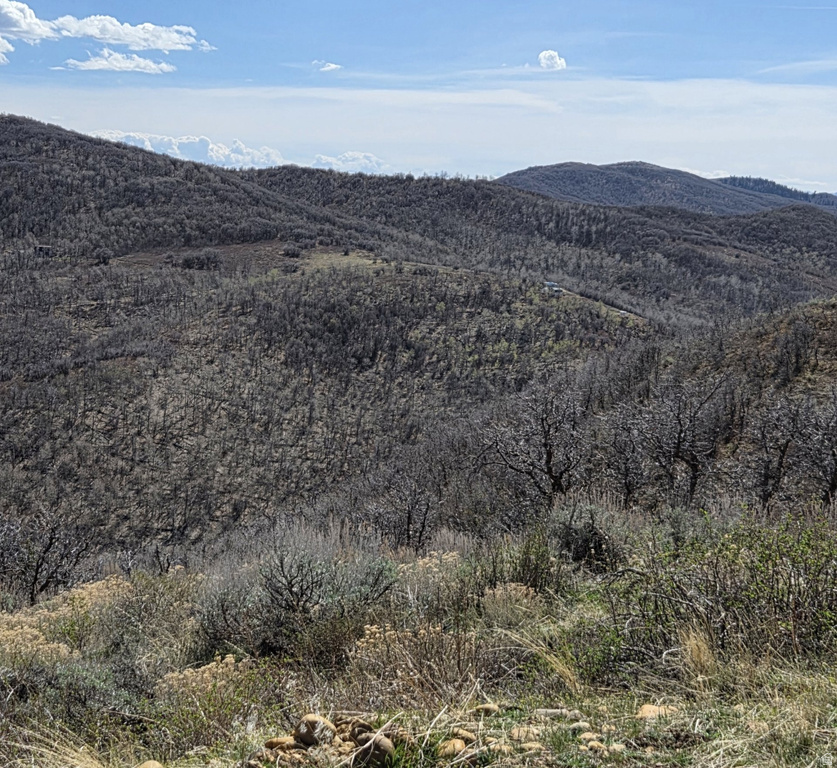 12602 SKYLINE RD #130 Echo, UT 84024