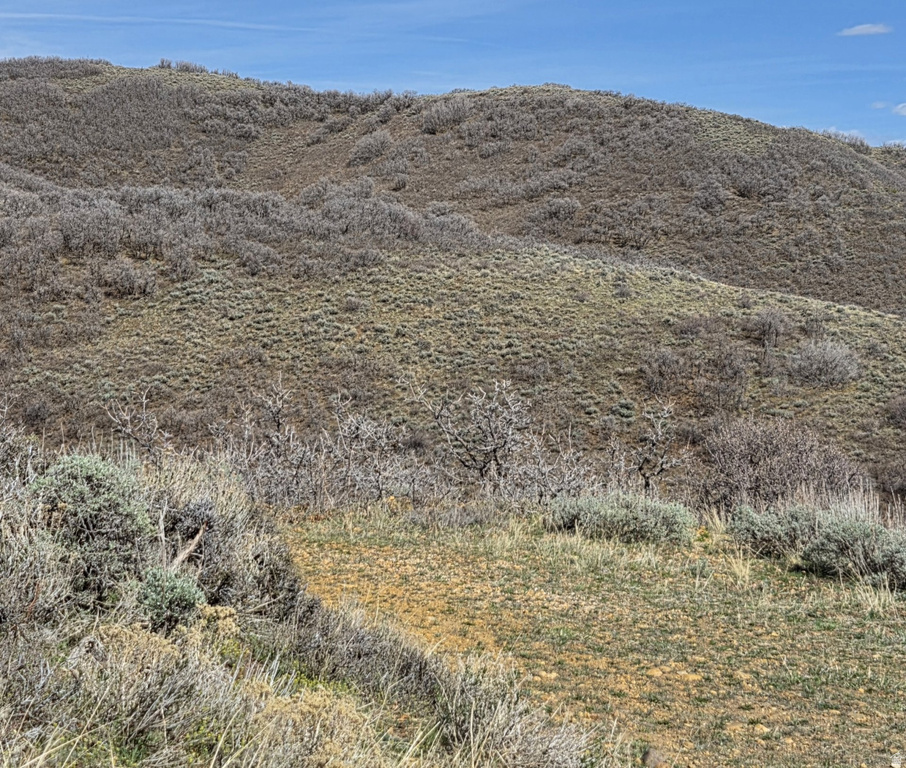 12602 SKYLINE RD #130 Echo, UT 84024