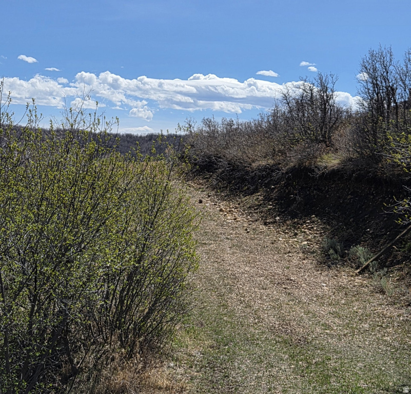 12602 SKYLINE RD #130 Echo, UT 84024