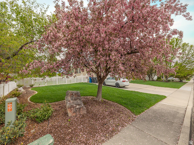 341 W 600 N Lindon, UT 84042