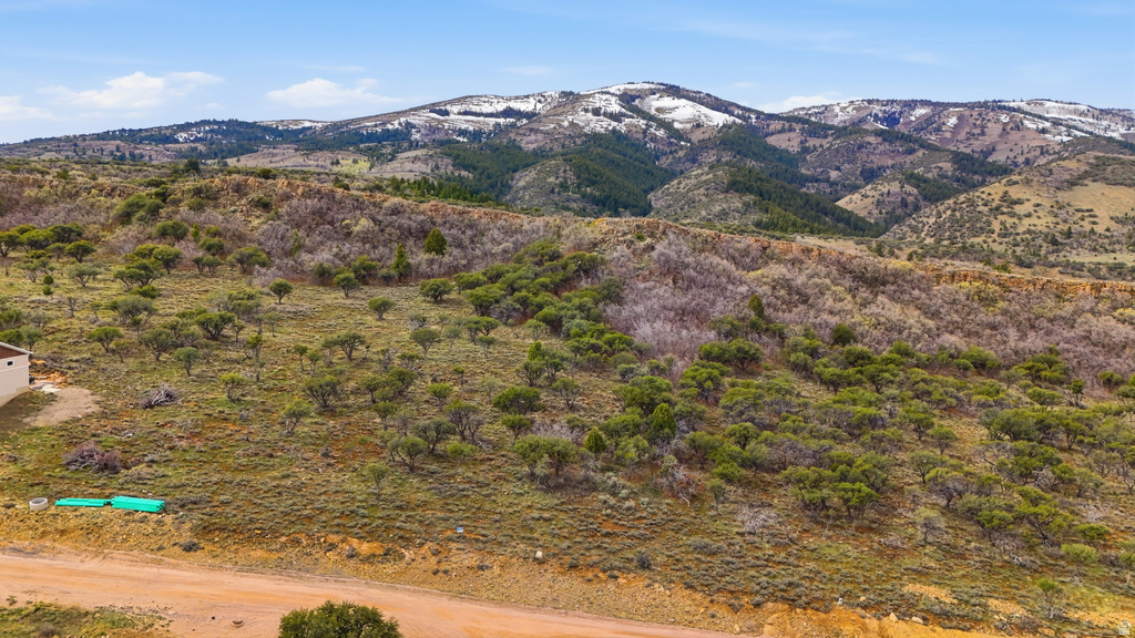 1009 W CISCO RUN Garden City, UT 84028