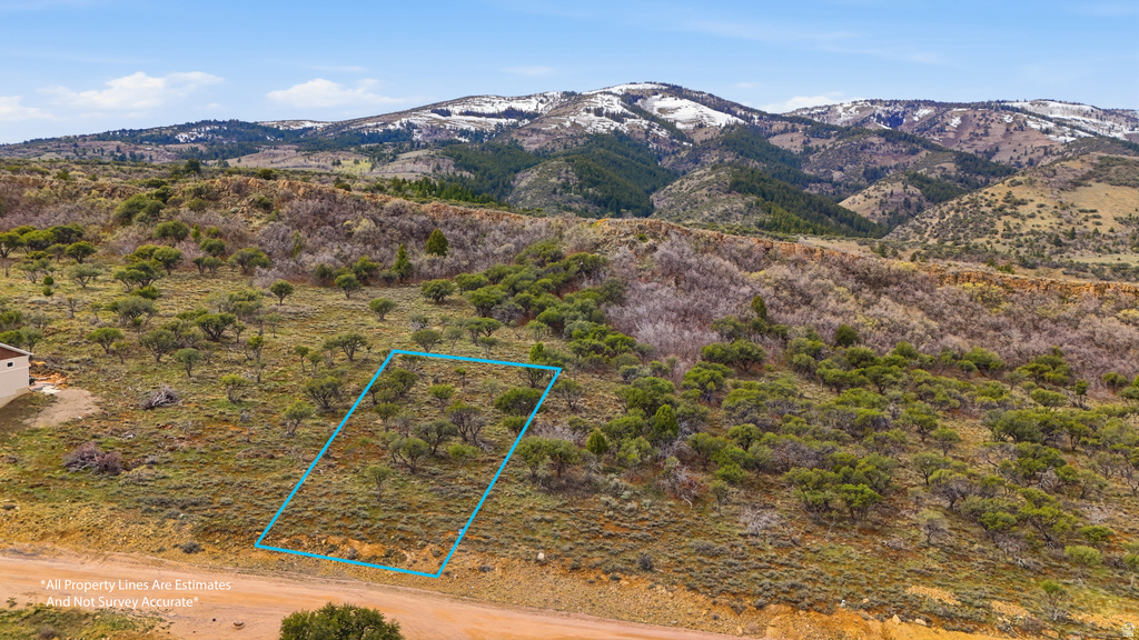 1009 W CISCO RUN Garden City, UT 84028