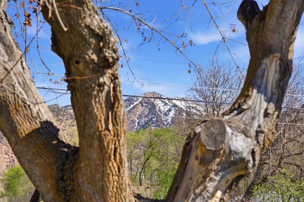 2244 JACKSON AVE Ogden, UT 84401