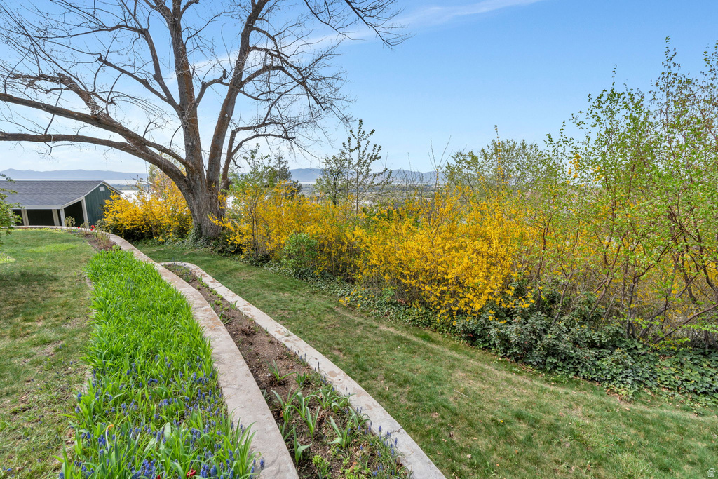 2025 OAK LN Provo, UT 84604