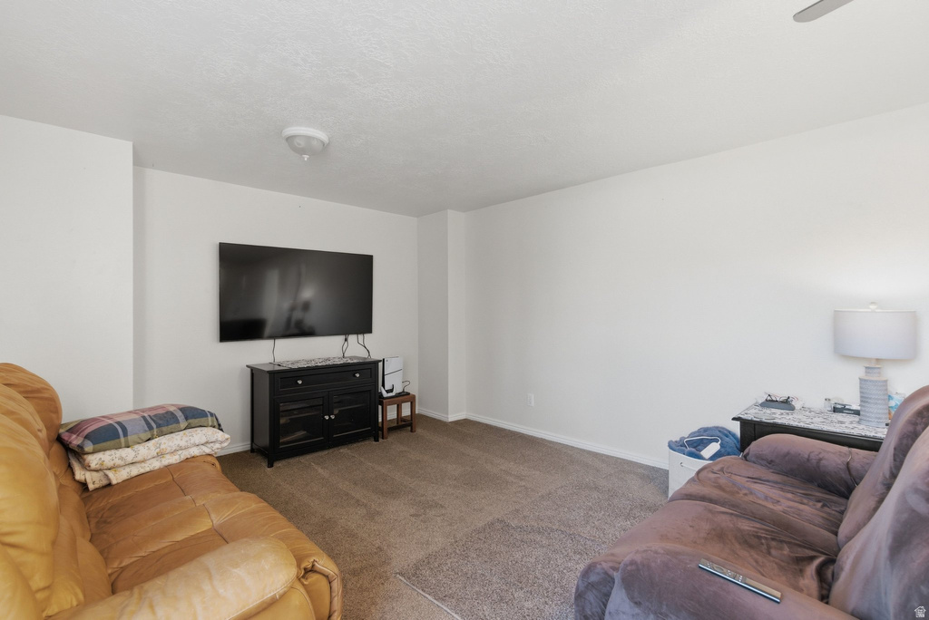 470 S 200 W Mona, UT 84645