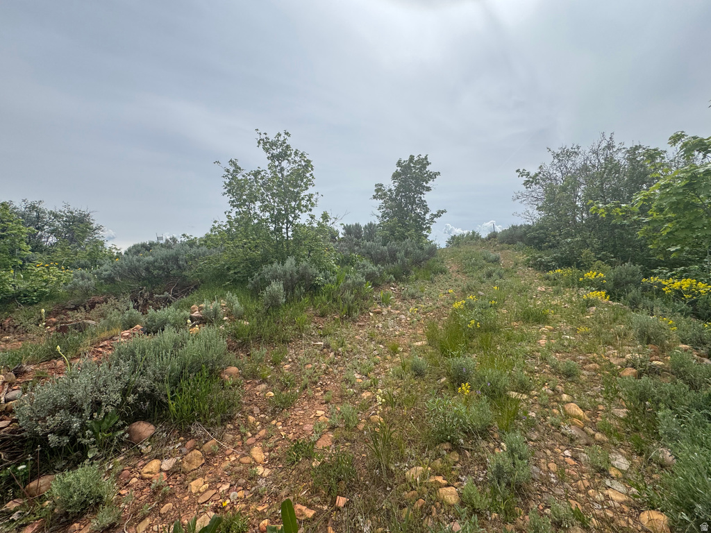 12416 E HIGH PINE AVE Huntsville, UT 84317