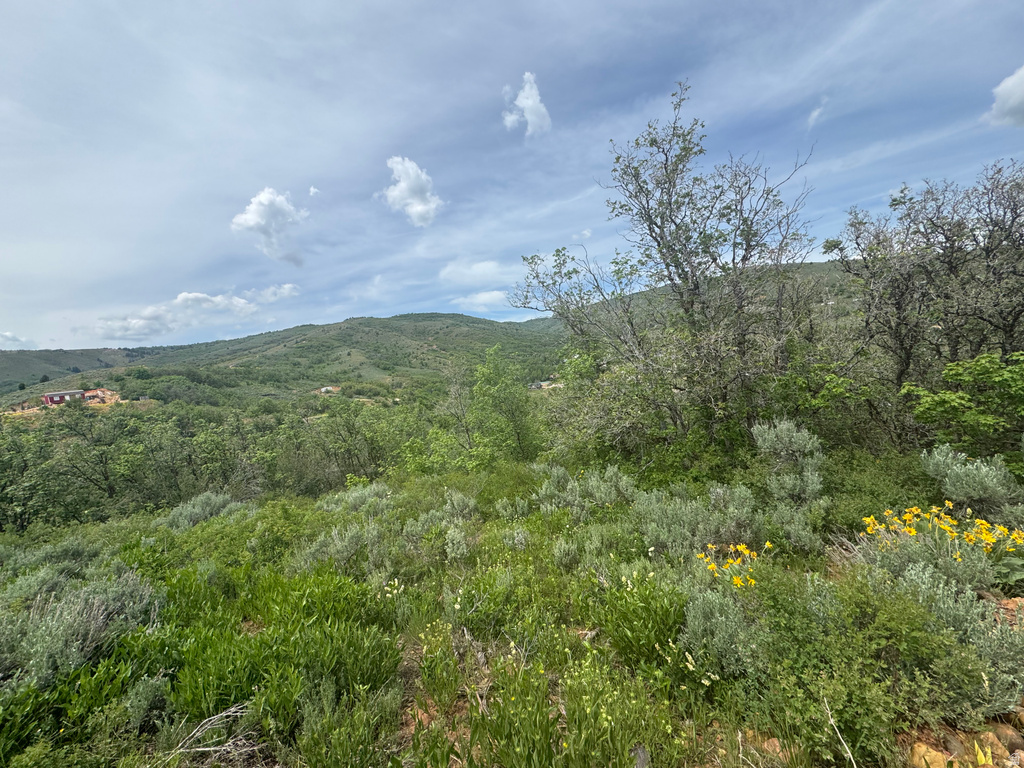 12416 E HIGH PINE AVE Huntsville, UT 84317