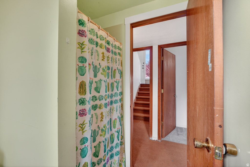 3919 S 4755 W West Valley City, UT 84120