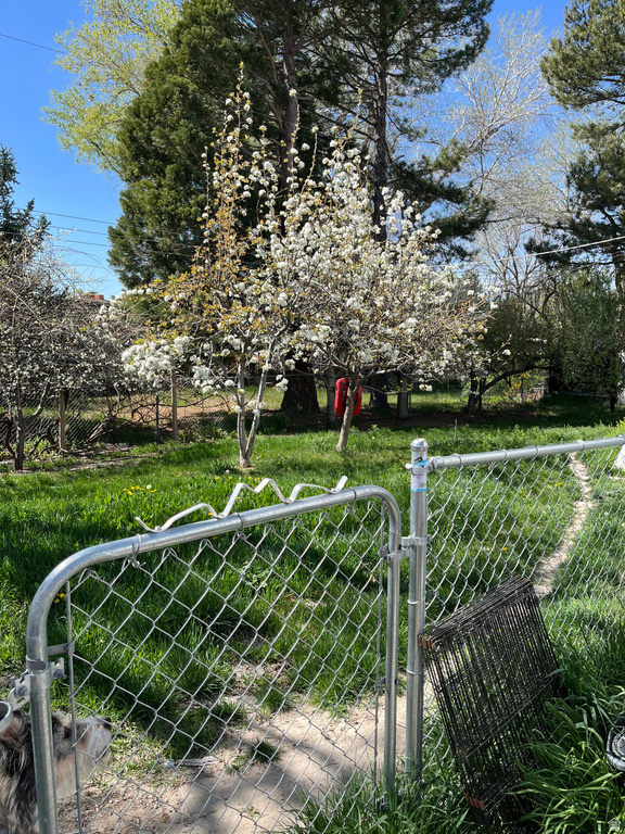 4620 S NAMBA WAY #101 Millcreek, UT 84107