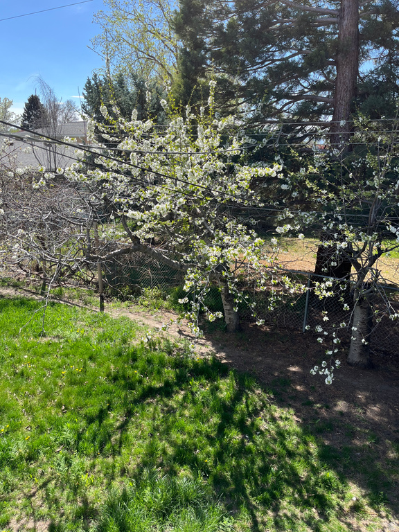 4620 S NAMBA WAY #101 Millcreek, UT 84107