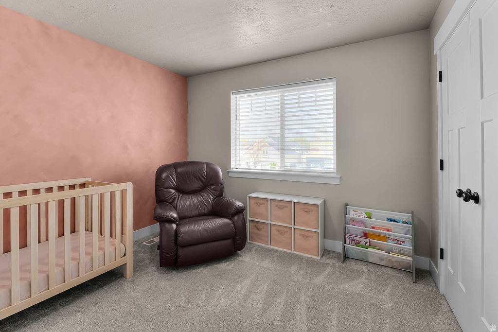 579 W 250 N Springville, UT 84663