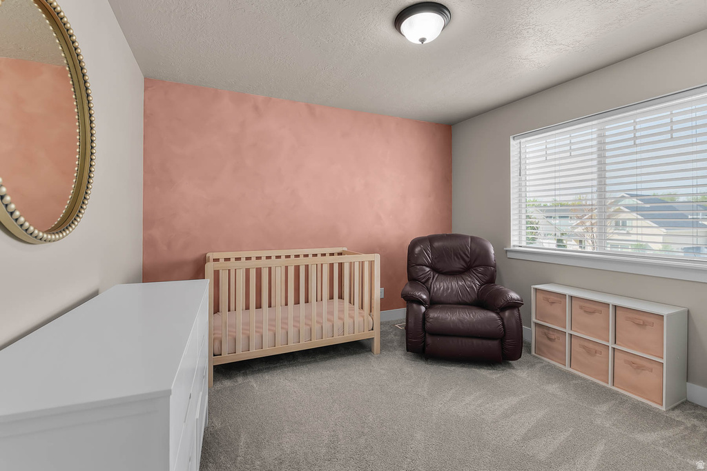 579 W 250 N Springville, UT 84663