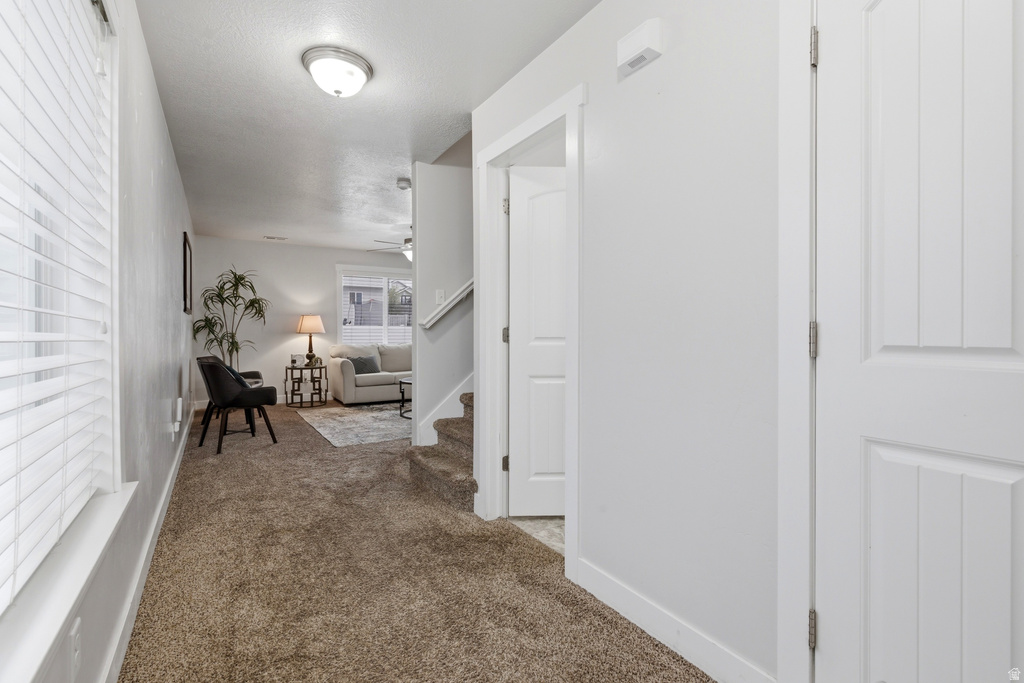 71 W 860 N Santaquin, UT 84655