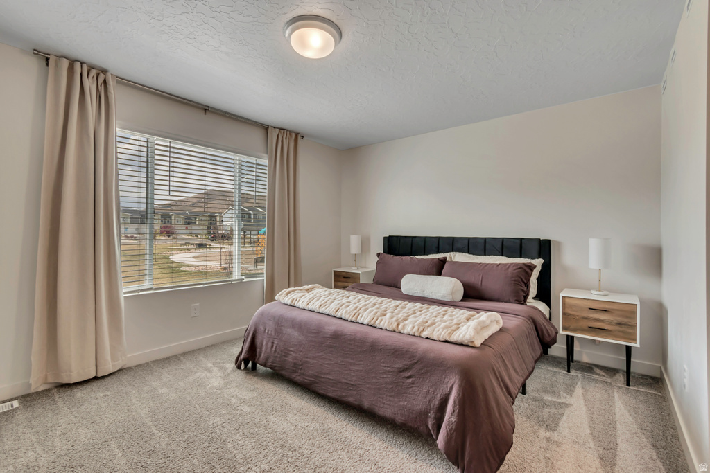 2017 N RED YEARLING DR #540 Saratoga Springs, UT 84045