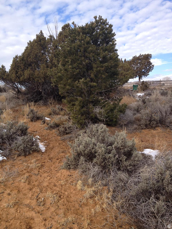1345 S 1070 E Boulder, UT 84716