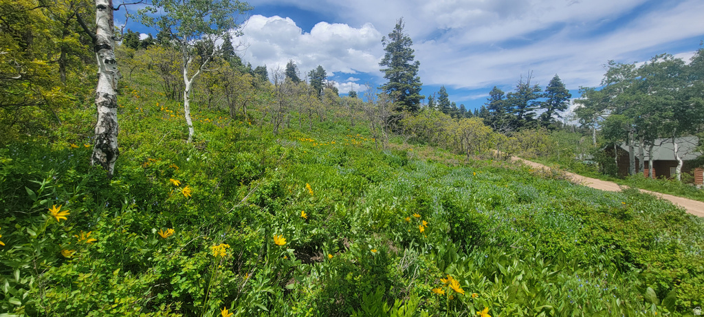 1920 W ELK RD Coalville, UT 84017