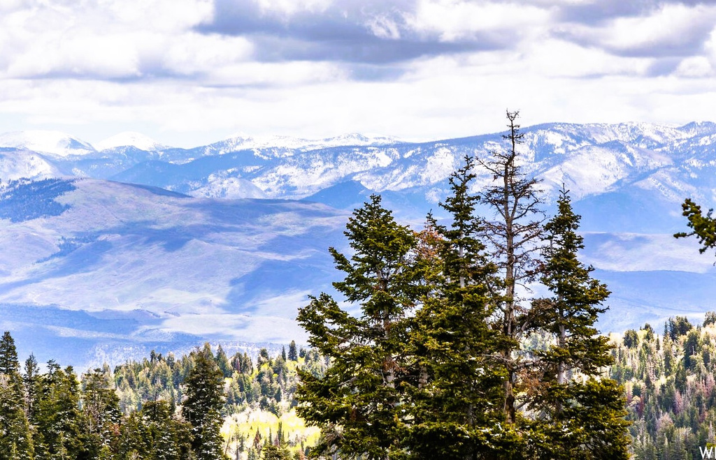 1920 W ELK RD Coalville, UT 84017