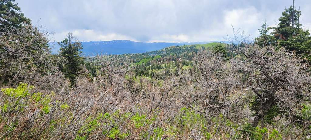 1920 W ELK RD Coalville, UT 84017