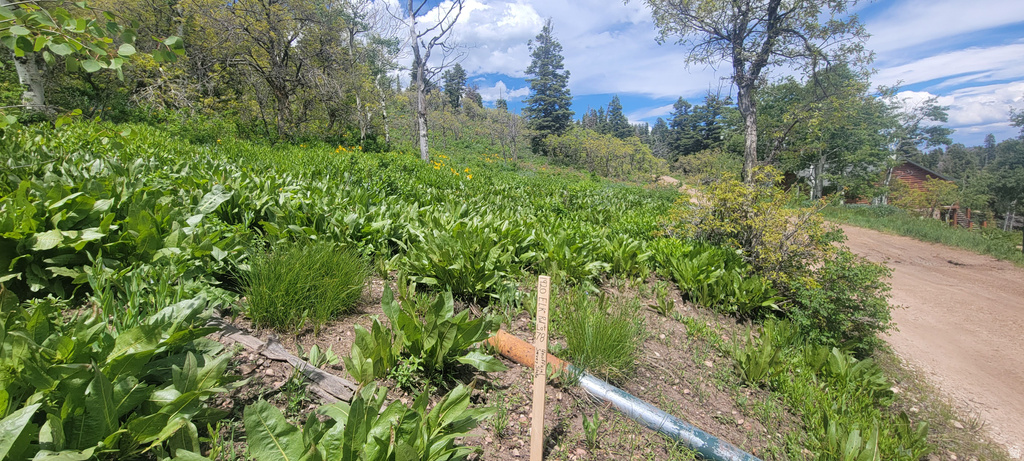 1920 W ELK RD Coalville, UT 84017