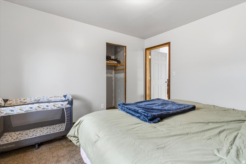 15215 N 12650 E Mt Pleasant, UT 84647