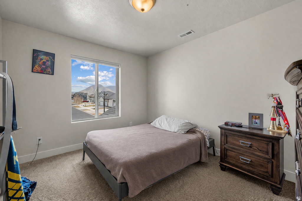 1085 N COACHMAN LN Spanish Fork, UT 84660