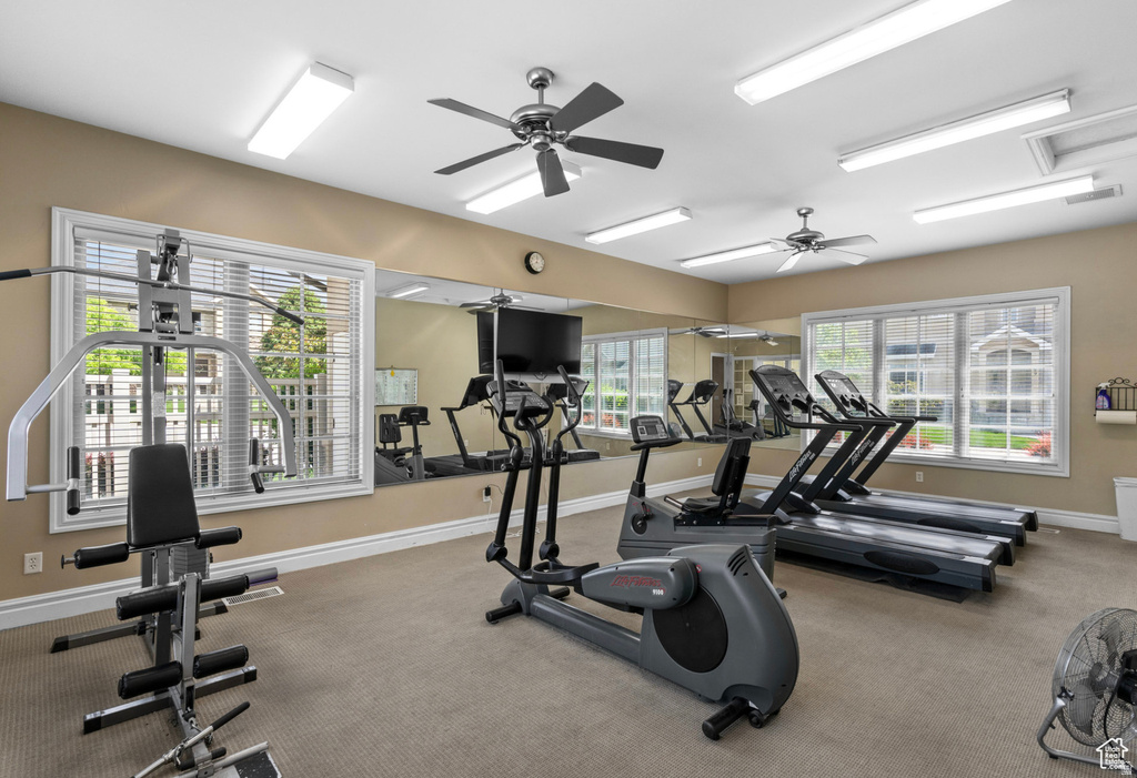 55 S 930 E American Fork, UT 84003