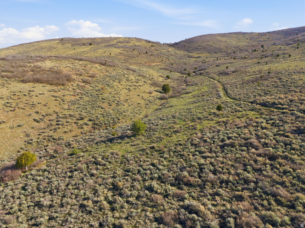 1175  BIG SKY TRL Francis, UT 84036