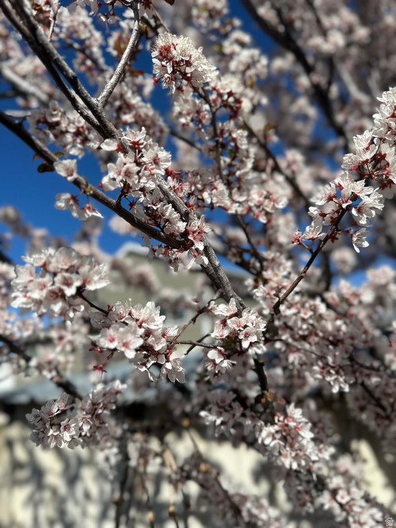 2998 S WOOLEY WAY Magna, UT 84044