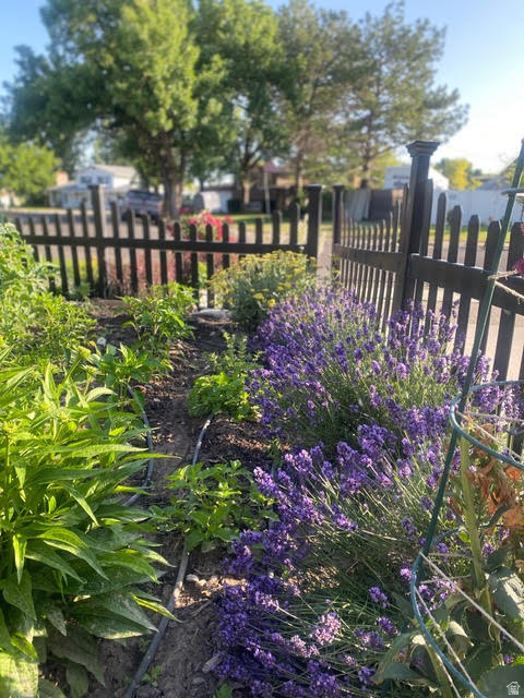 3131 W 3800 S West Valley City, UT 84119